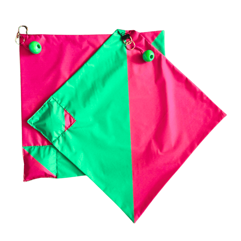 Banderas de circo fucsia y verde